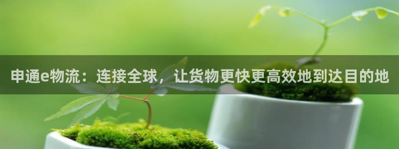 旺财28加拿大6.0：申通e物流：连