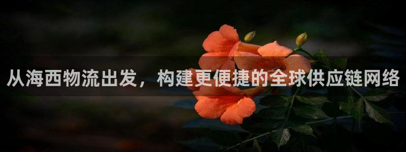 旺财28麻将：从海西物流出发，构建更