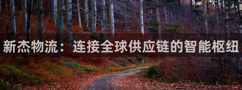 旺财28流水怎么算：新杰物流：连接全