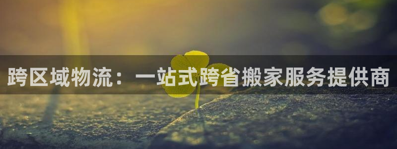 旺财28取保：跨区域物流：一站式跨省搬家服务提供商