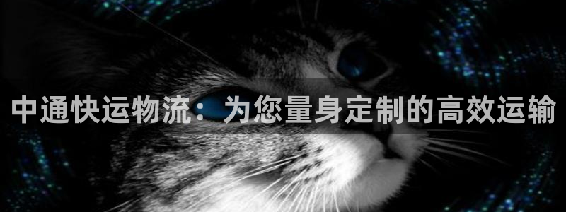 旺财28人头费：中通快运物流：为您量
