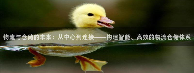 旺财28官网下载链接是什么：物流与仓