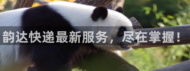 旺财28下载体育：韵达快递最新服务，