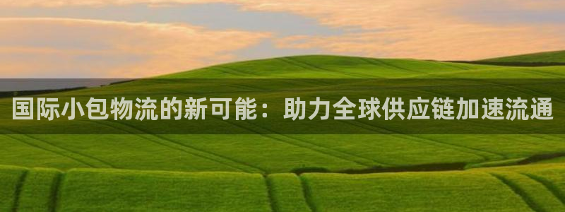 旺财28官方网站：国际小包物流的新可
