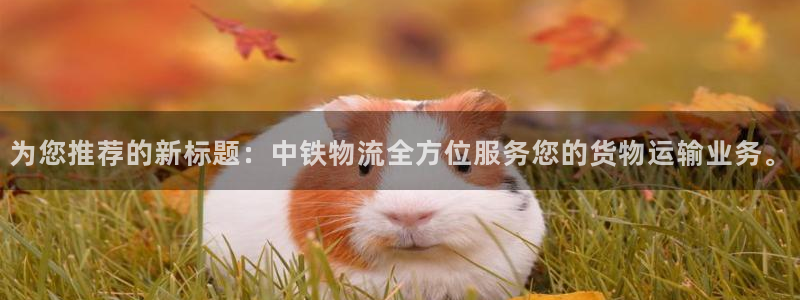 旺财28注册入口与教程：为您推荐的新