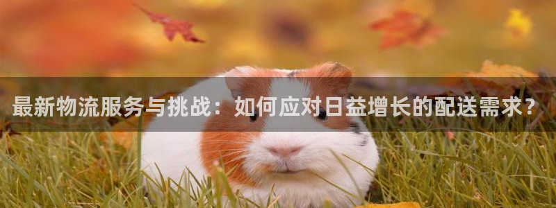 旺财28注册平台：最新物流服务与挑战