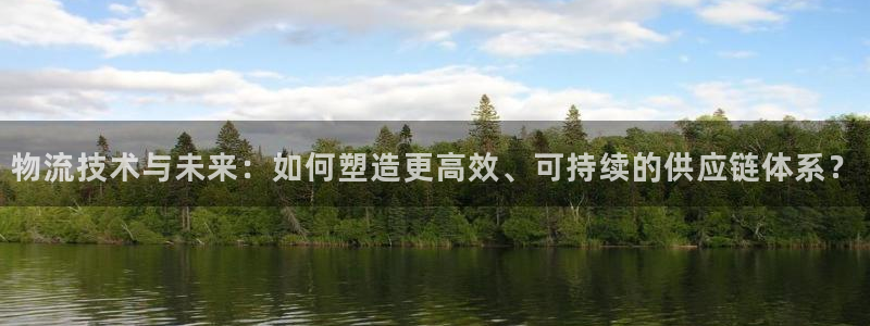 旺财28黑款：物流技术与未来：如何塑
