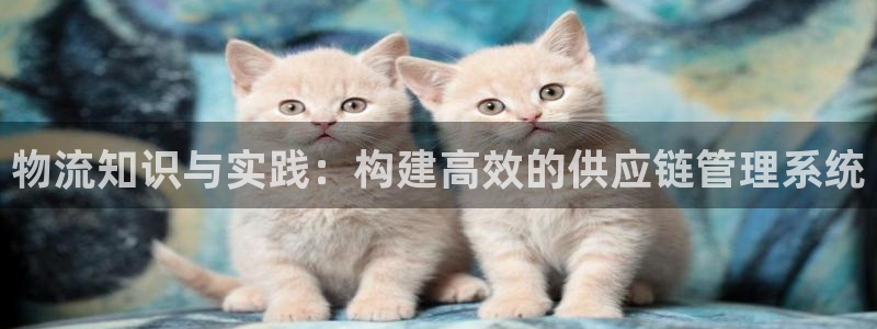 旺财28注册登录流程：物流知识与实践