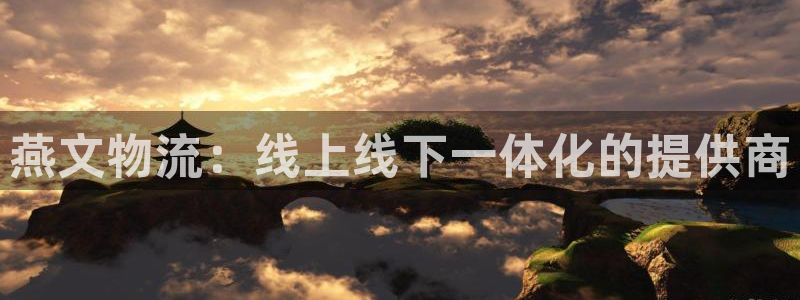 旺财28p扣款什么意思：燕文物流：线