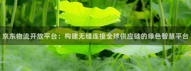旺财28官方网站是多少：京东物流开放