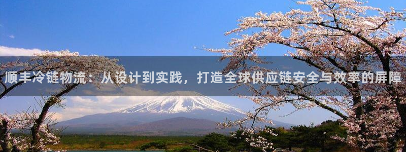 旺财28网站平台：顺丰冷链物流：从设