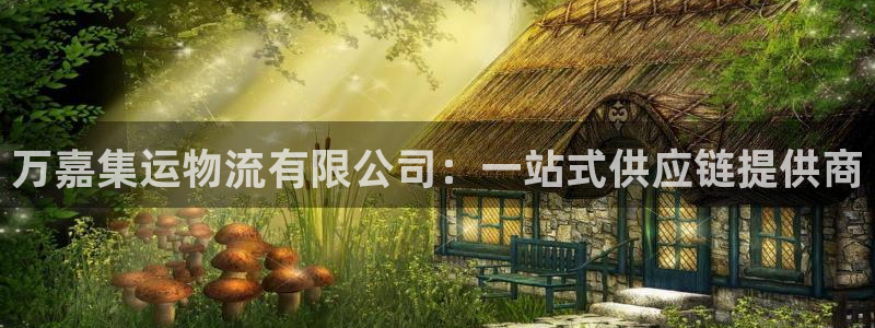 旺财28p扣除是什么意思：万嘉集运物