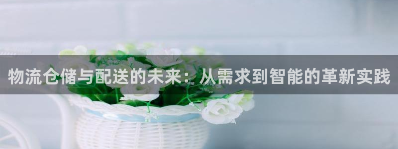 旺财28哪个最赚钱：物流仓储与配送的