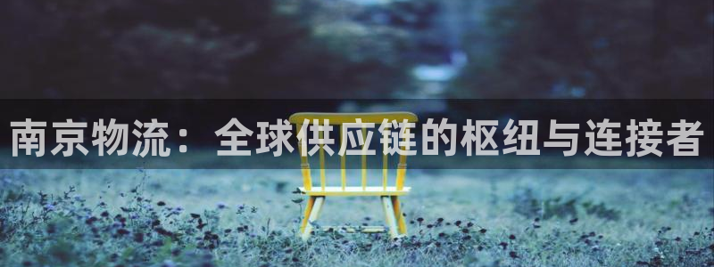 旺财28官网下载：南京物流：全球供应