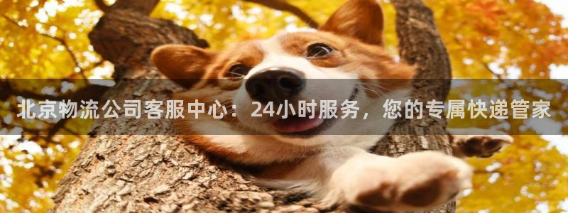 旺财28p图上分下款通道：北京物流公
