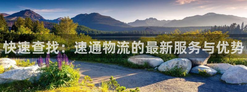 旺财28模拟器在线玩:快速查找:速通