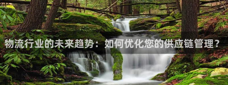 旺财28怎么注册账号和密码:物流行业