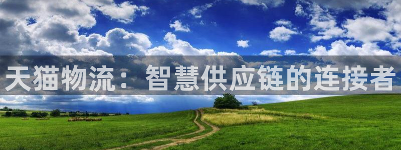 pc旺财28怎么注册:天猫物流:智慧