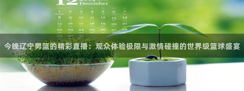nba在线观看免费观看说球帝：今晚辽宁男篮的精彩直播：观众体验极限与激情碰撞的世界级篮球盛宴