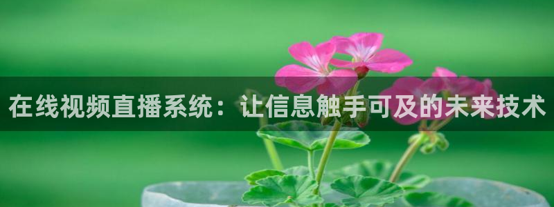 说球帝直播赛事直播：在线视频直播系统：让信息触手可及的未来技术